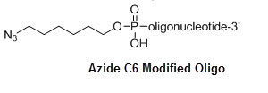 Bio-Synthesis Inc. Oligo Structure